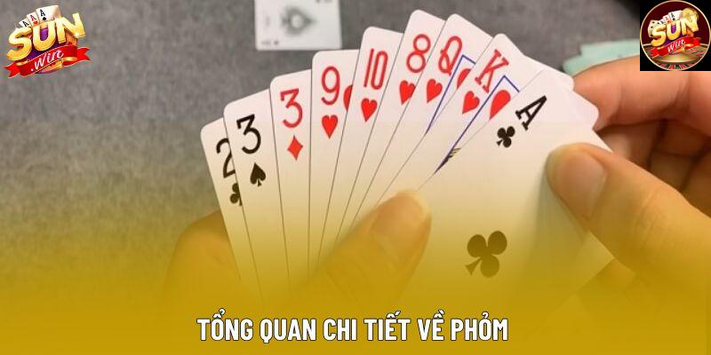Tổng quan chi tiết về phỏm Tổng quan chi tiết về phỏm